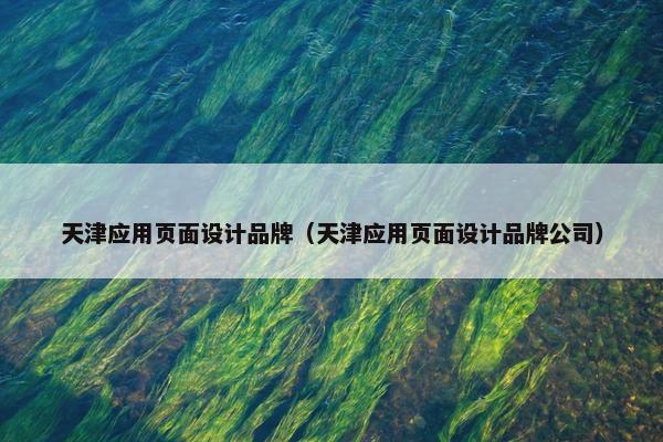 天津应用页面设计品牌（天津应用页面设计品牌公司）