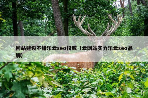 网站建设不错乐云seo权威（云网站实力乐云seo品牌）