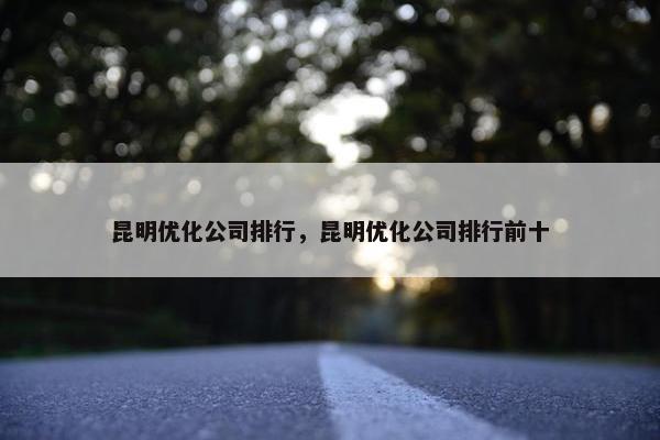 昆明优化公司排行，昆明优化公司排行前十