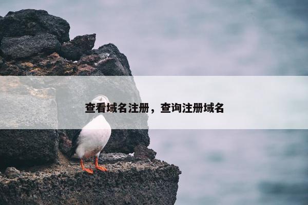 查看域名注册，查询注册域名
