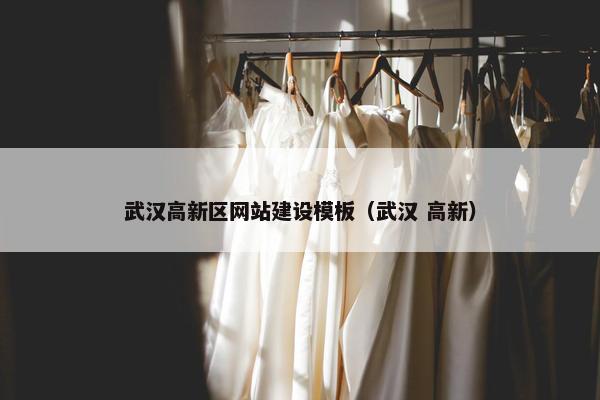 武汉高新区网站建设模板（武汉 高新）