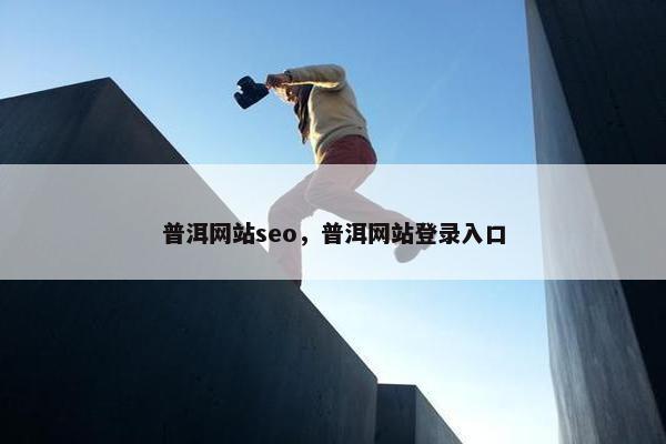 普洱网站seo，普洱网站登录入口