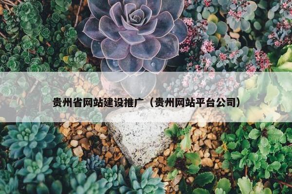 贵州省网站建设推广（贵州网站平台公司）