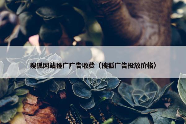 搜狐网站推广广告收费（搜狐广告投放价格）