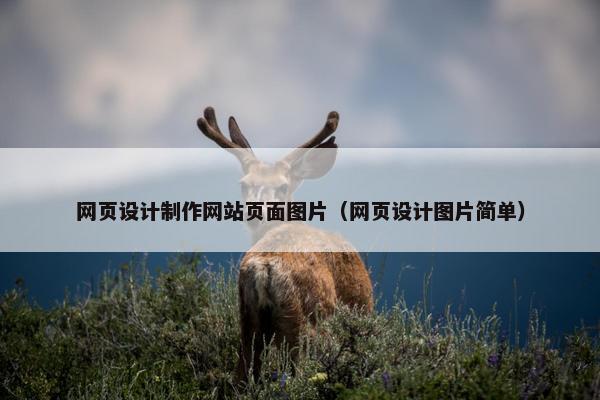 网页设计制作网站页面图片（网页设计图片简单）
