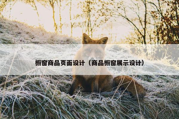 橱窗商品页面设计（商品橱窗展示设计）