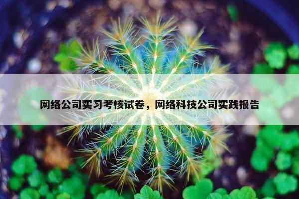 网络公司实习考核试卷，网络科技公司实践报告