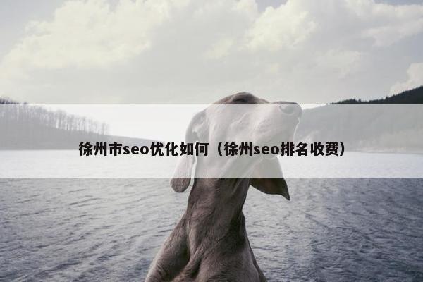 徐州市seo优化如何（徐州seo排名收费）