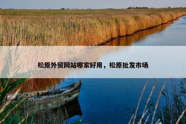 松原外贸网站哪家好用，松原批发市场