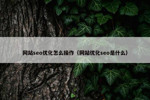 网站seo优化怎么操作（网站优化seo是什么）