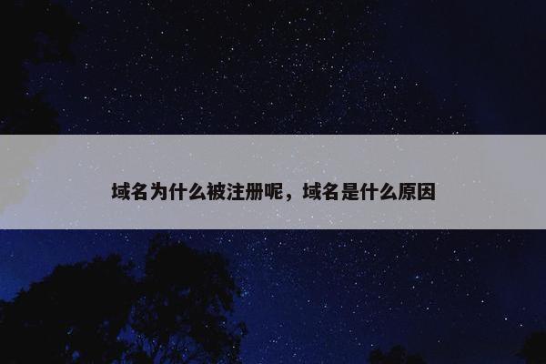 域名为什么被注册呢，域名是什么原因