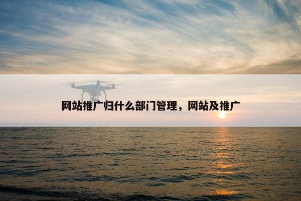 网站推广归什么部门管理，网站及推广