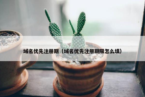 域名优先注册期（域名优先注册期限怎么填）