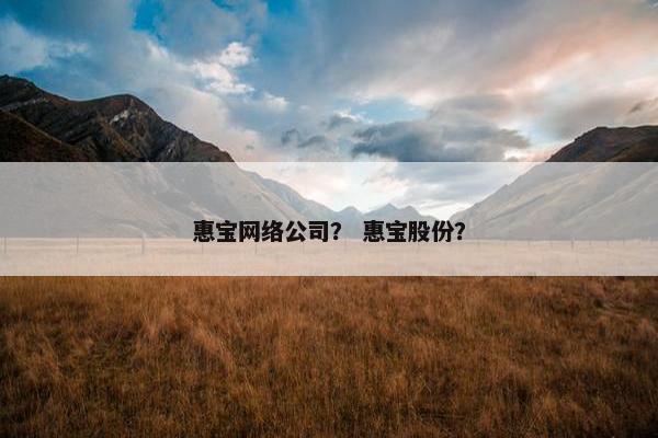 惠宝网络公司？ 惠宝股份？