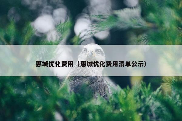 惠城优化费用（惠城优化费用清单公示）