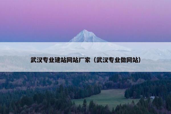 武汉专业建站网站厂家（武汉专业做网站）