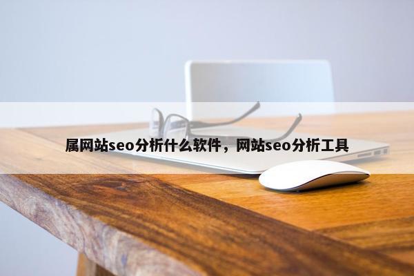 属网站seo分析什么软件，网站seo分析工具