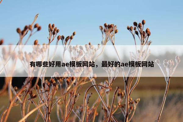 有哪些好用ae模板网站，最好的ae模板网站