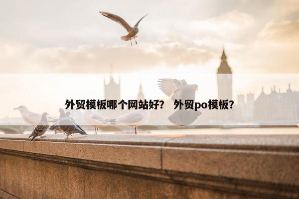 外贸模板哪个网站好？ 外贸po模板？