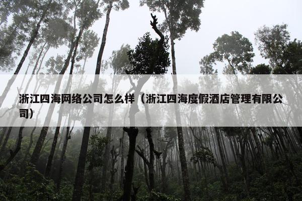 浙江四海网络公司怎么样（浙江四海度假酒店管理有限公司）