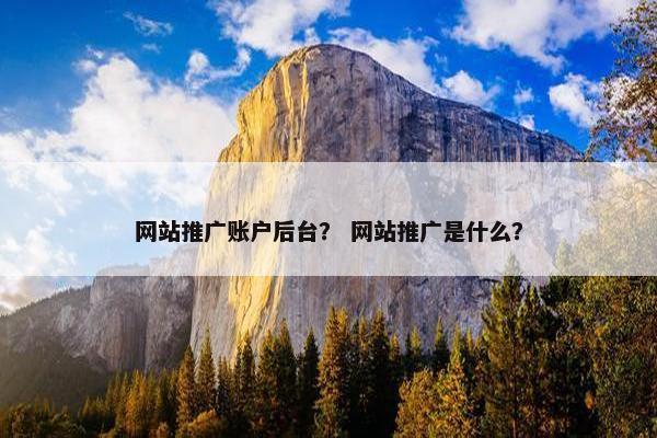 网站推广账户后台？ 网站推广是什么？