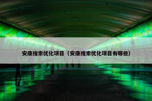 安康搜索优化项目（安康搜索优化项目有哪些）