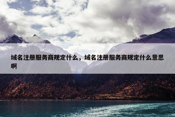 域名注册服务商规定什么，域名注册服务商规定什么意思啊