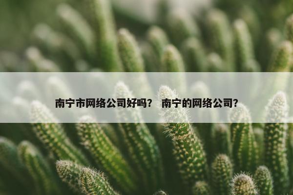 南宁市网络公司好吗？ 南宁的网络公司？