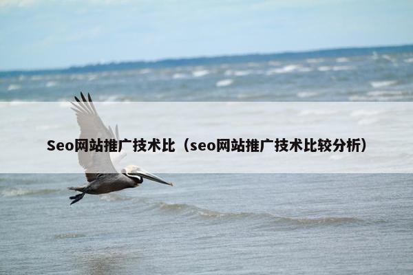Seo网站推广技术比（seo网站推广技术比较分析）