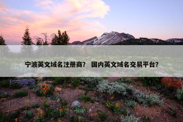 宁波英文域名注册商？ 国内英文域名交易平台？