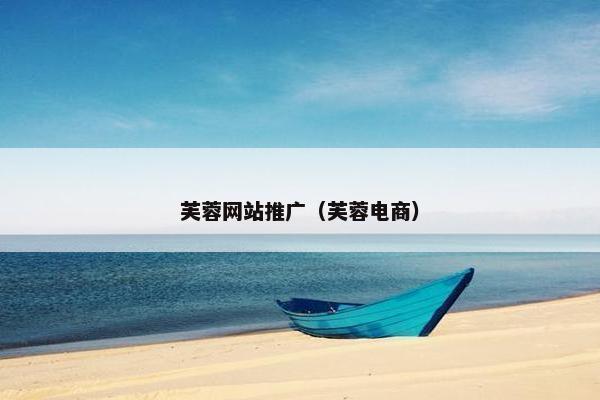 芙蓉网站推广（芙蓉电商）