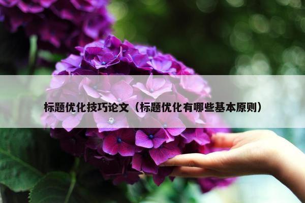 标题优化技巧论文（标题优化有哪些基本原则）