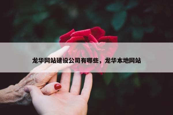 龙华网站建设公司有哪些，龙华本地网站