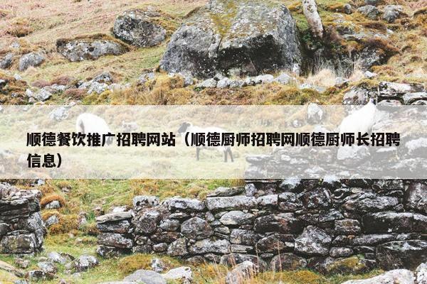顺德餐饮推广招聘网站（顺德厨师招聘网顺德厨师长招聘信息）