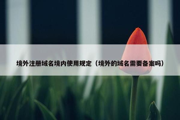 境外注册域名境内使用规定（境外的域名需要备案吗）
