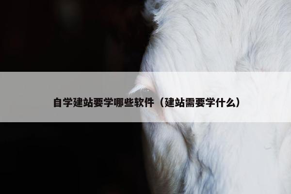 自学建站要学哪些软件（建站需要学什么）