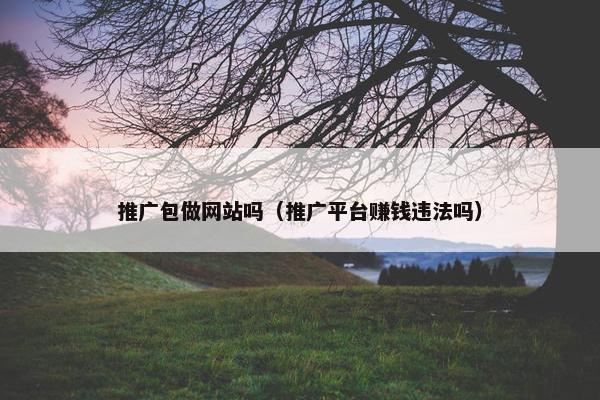 推广包做网站吗（推广平台赚钱违法吗）