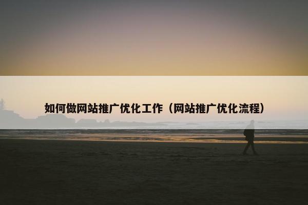 如何做网站推广优化工作（网站推广优化流程）