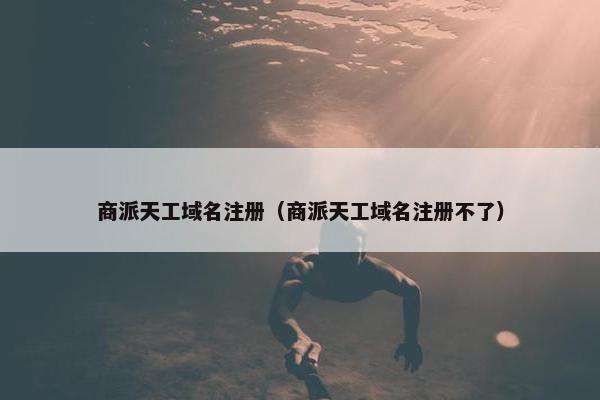 商派天工域名注册（商派天工域名注册不了）