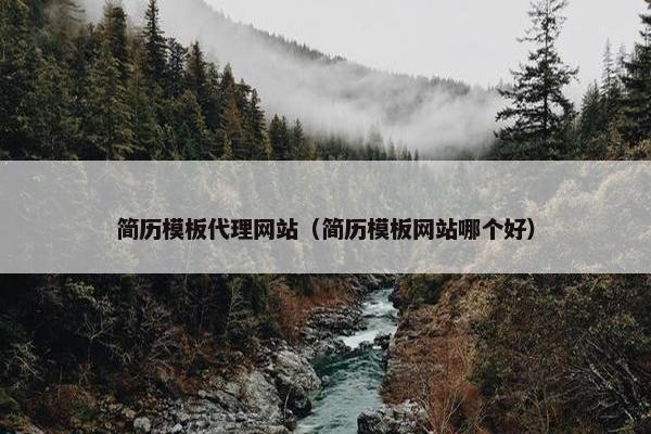 简历模板代理网站（简历模板网站哪个好）