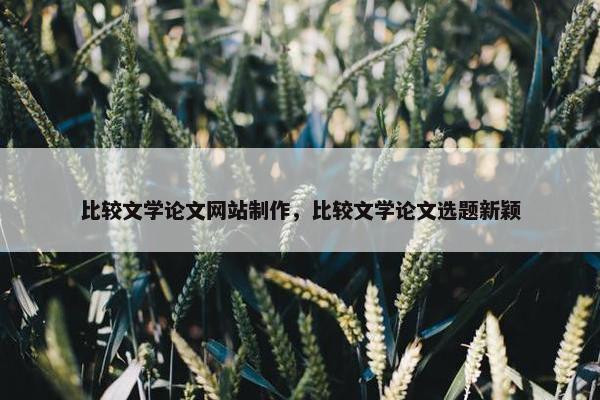 比较文学论文网站制作，比较文学论文选题新颖