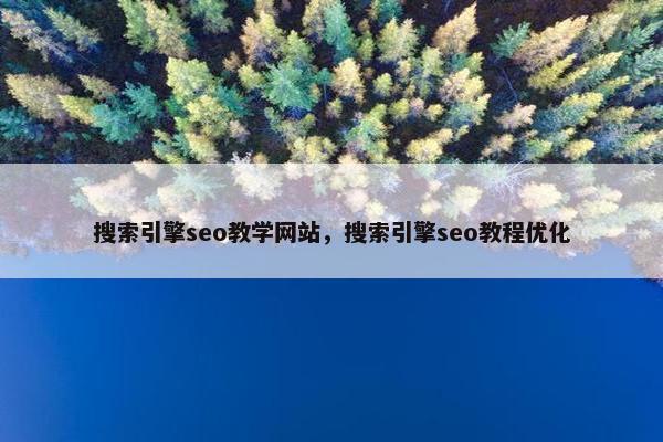 搜索引擎seo教学网站，搜索引擎seo教程优化