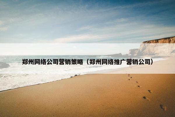 郑州网络公司营销策略（郑州网络推广营销公司）