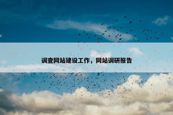 调查网站建设工作，网站调研报告
