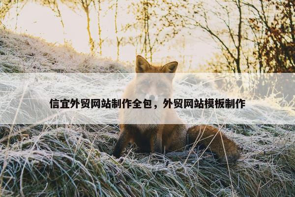 信宜外贸网站制作全包，外贸网站模板制作