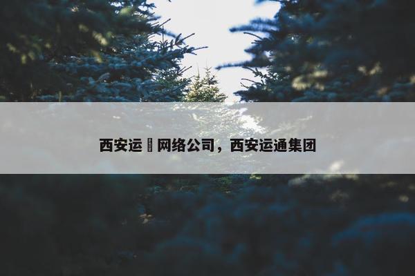 西安运璟网络公司，西安运通集团