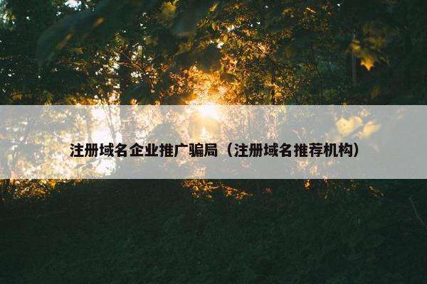 注册域名企业推广骗局（注册域名推荐机构）