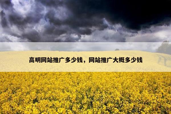 高明网站推广多少钱，网站推广大概多少钱