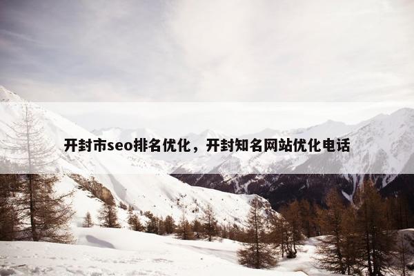 开封市seo排名优化，开封知名网站优化电话