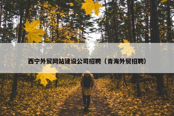 西宁外贸网站建设公司招聘（青海外贸招聘）